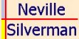 Neville Silverman: Access Database and VB programming